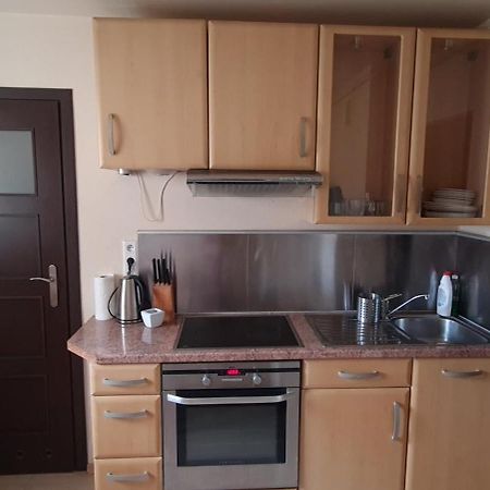 Apartament Czarny Potok Krynica-Zdrój Exterior foto